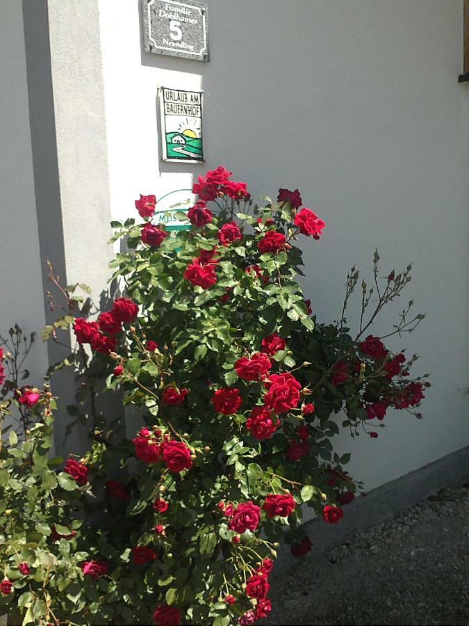 Schnatterhof Villa Lambrechten Bagian luar foto